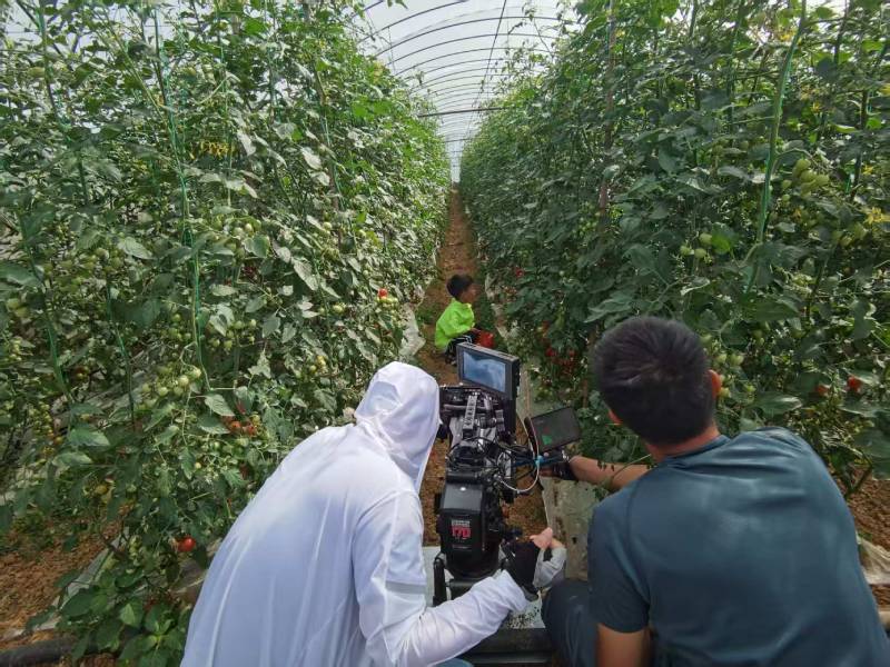 凤泉区产品宣传视频拍摄公司进阶指南，助力品牌抢占传播高地